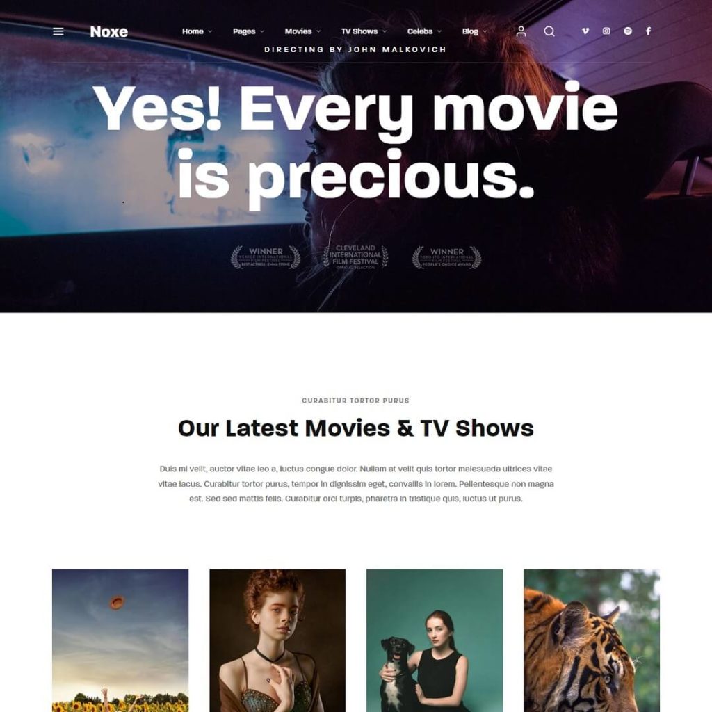 Noxe - WordPress Video Theme