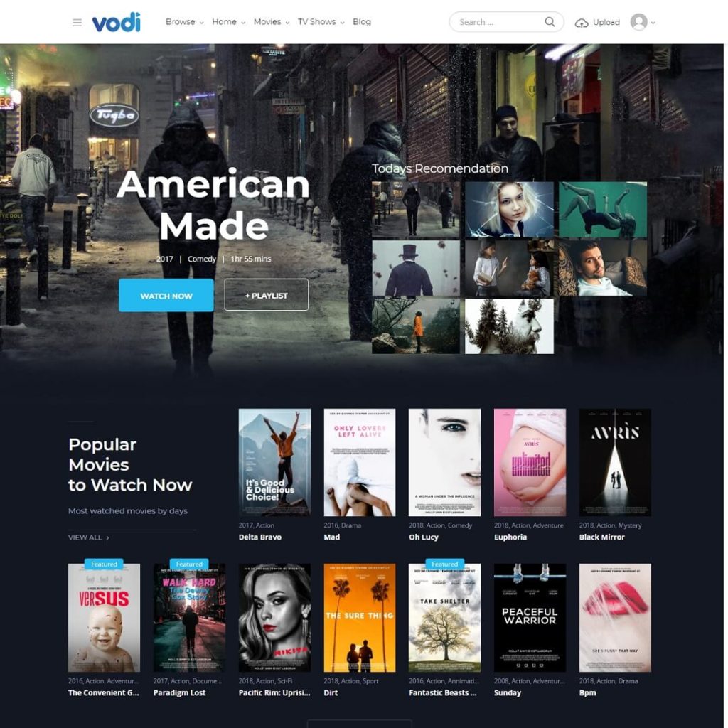 Vodi - WordPress Video Theme