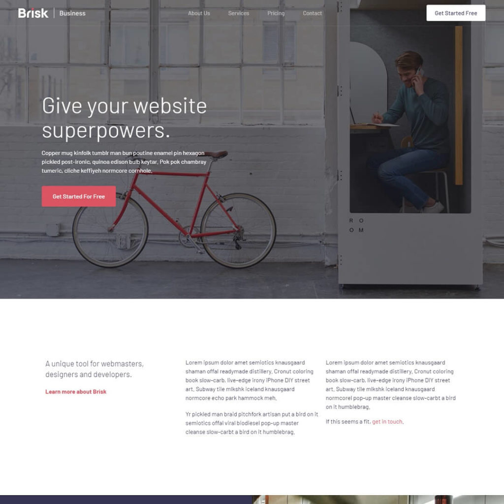 Brisk - Popular Business WordPress Themes