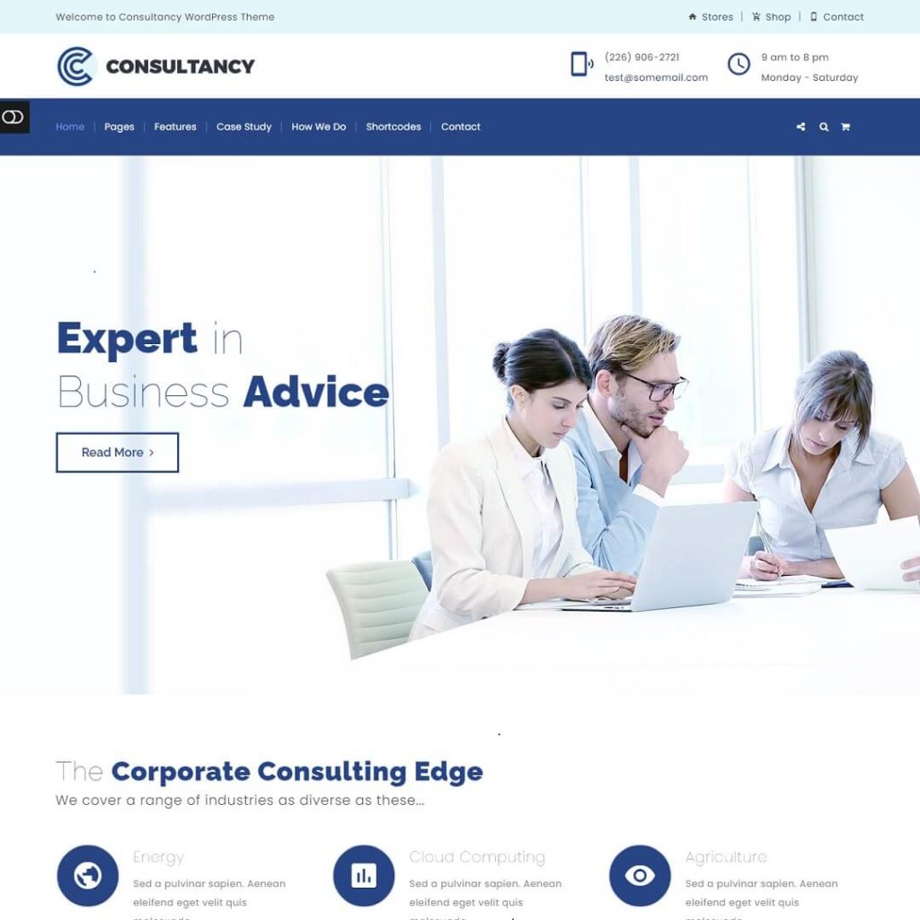 Consultancy - Best 15 SEO and Digital Marketing WordPress Agency Theme