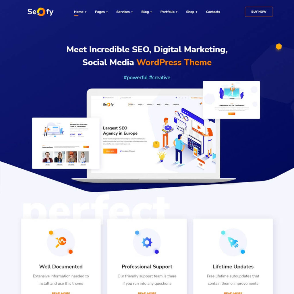 Seofy - Best 15 SEO and Digital Marketing WordPress Agency Theme