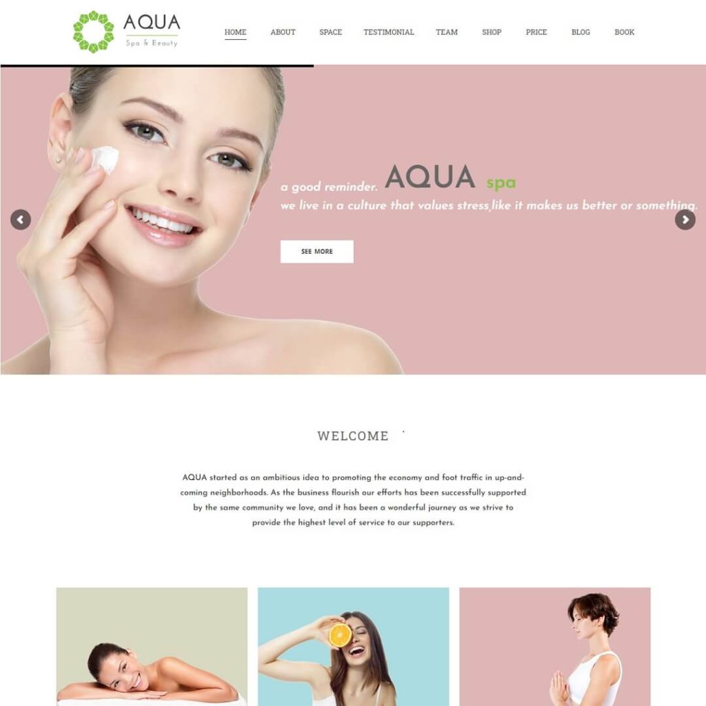 Aqua - Hair Salon WordPress Theme