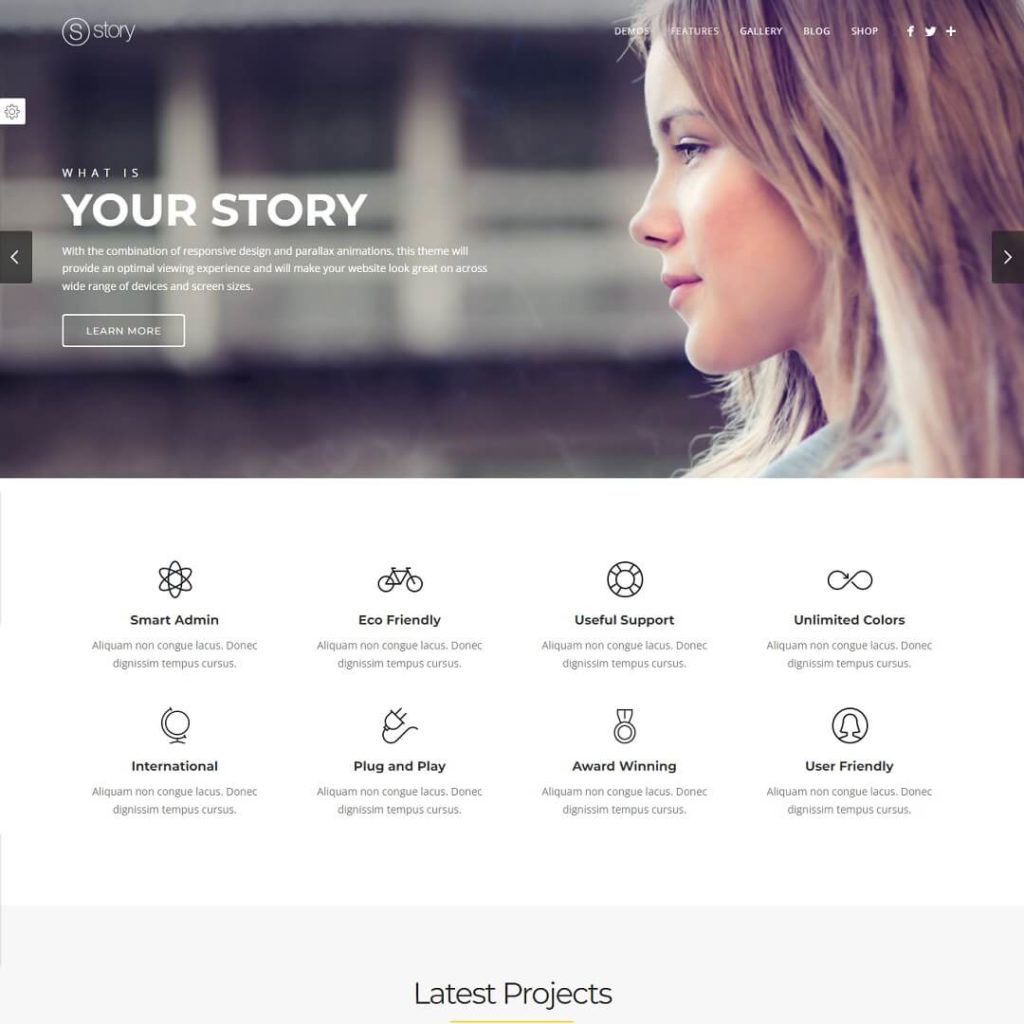 Story - Agency and Portfolio WordPress Theme