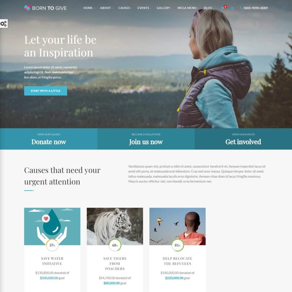 Born To Give  - Non-Profit and Charity WordPress Themes