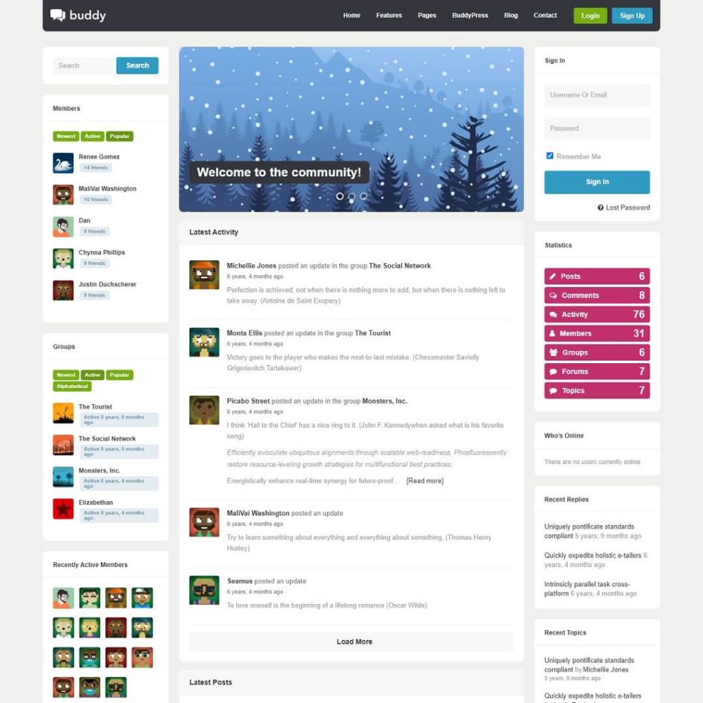 Buddy: Simple - BuddyPress WordPress Community Themes