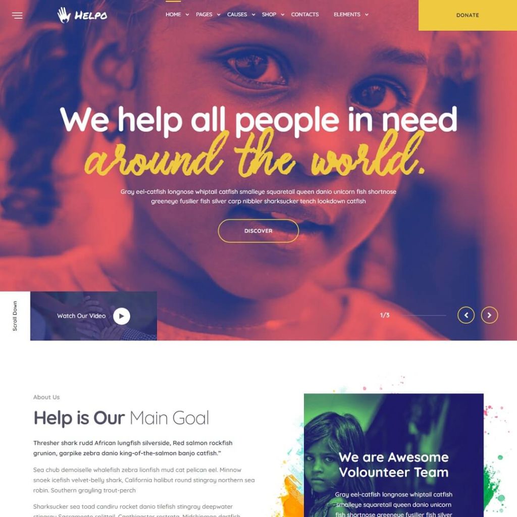 Helpo - Non-Profit and Charity WordPress Themes