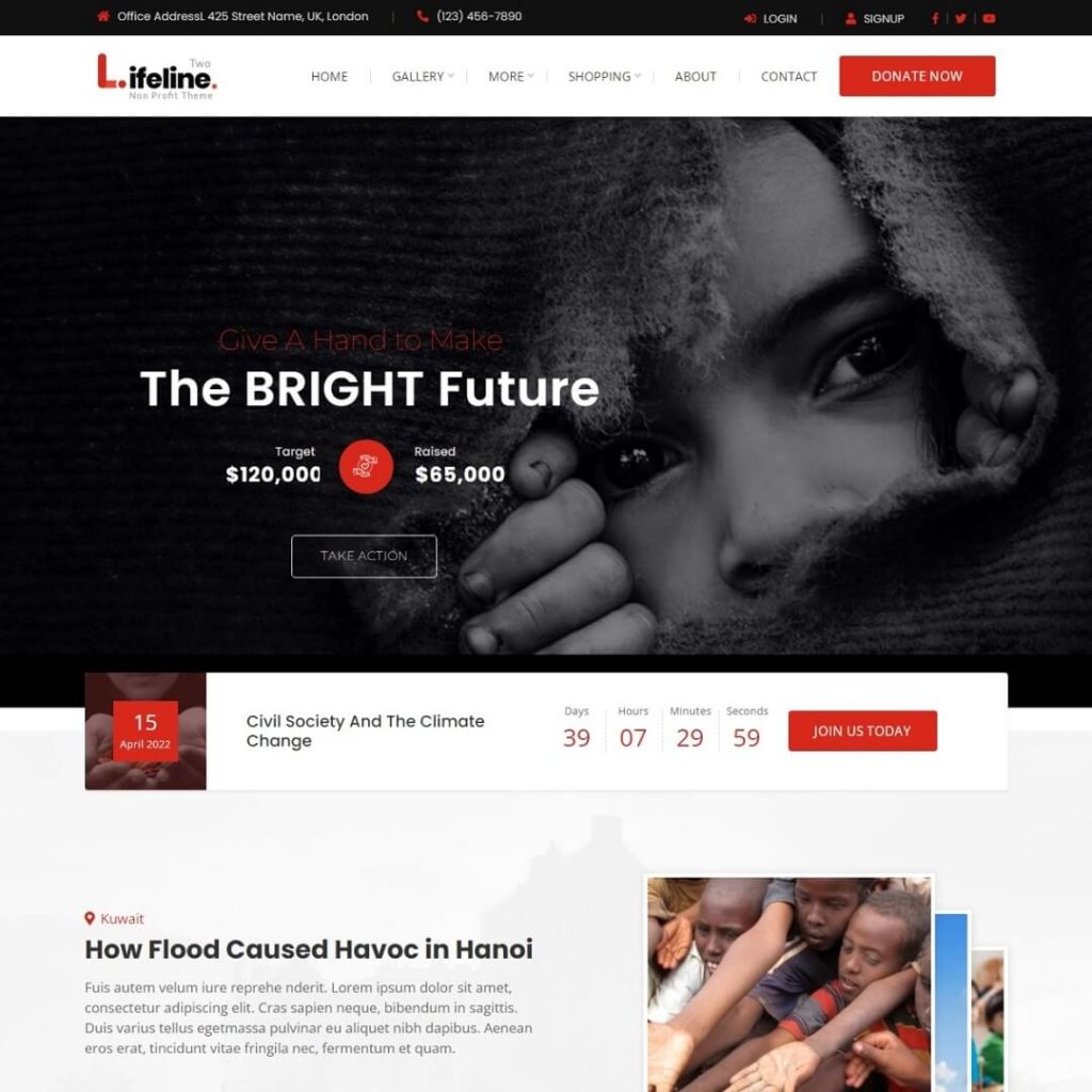 Lifeline 2 - Non-Profit and Charity WordPress Themes