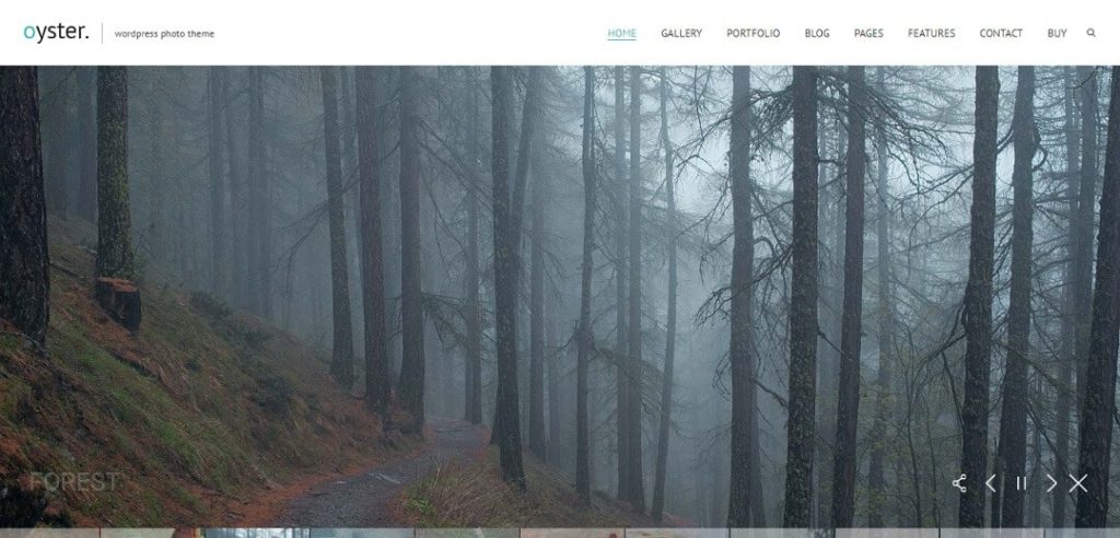Oyster - WordPress Photography Themes