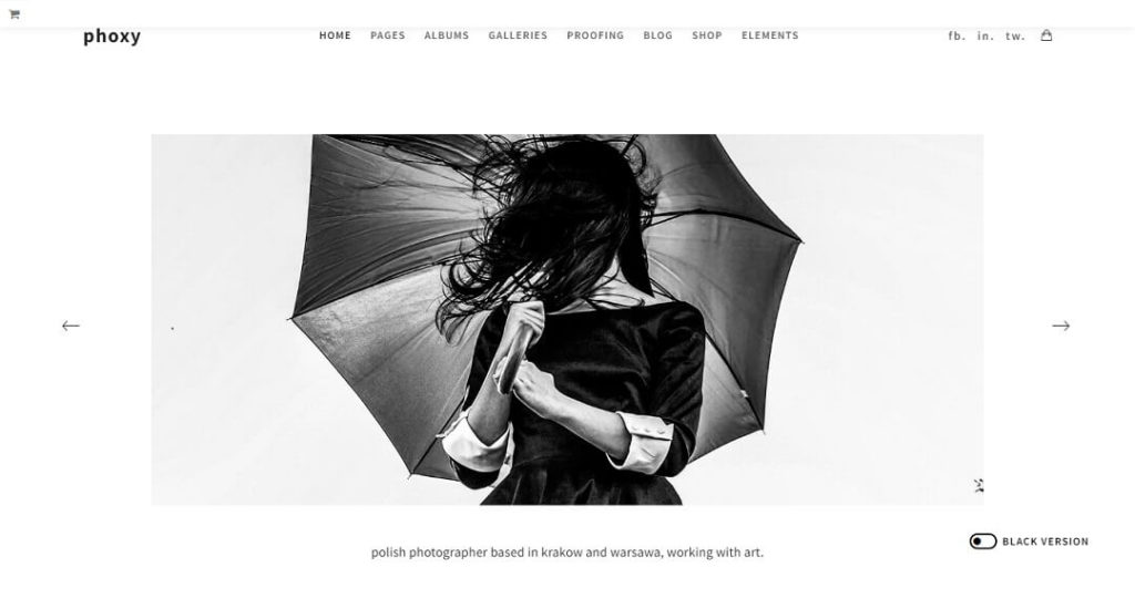 Phoxy - WordPress Photography Themes