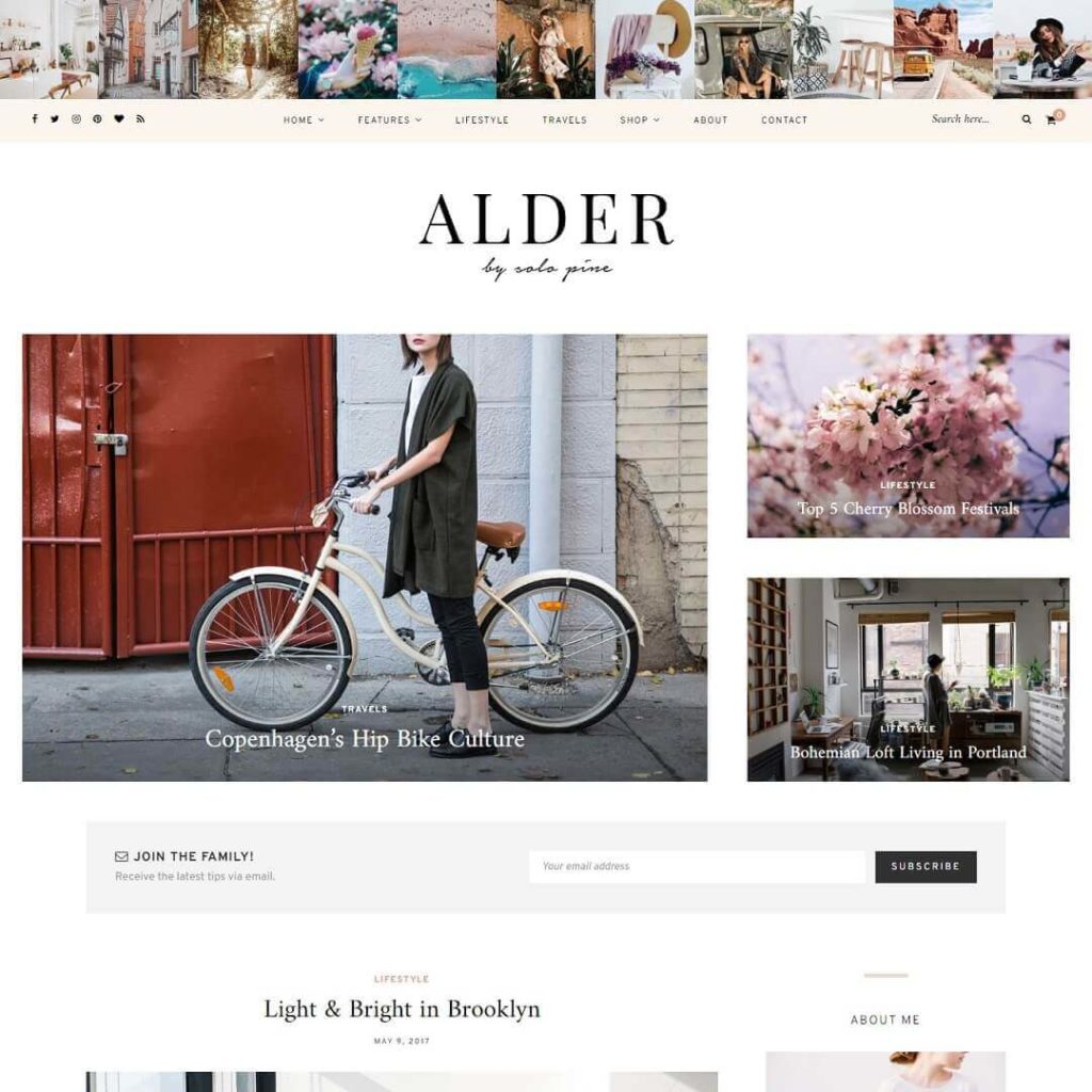 Alder - Feminine WordPress Themes