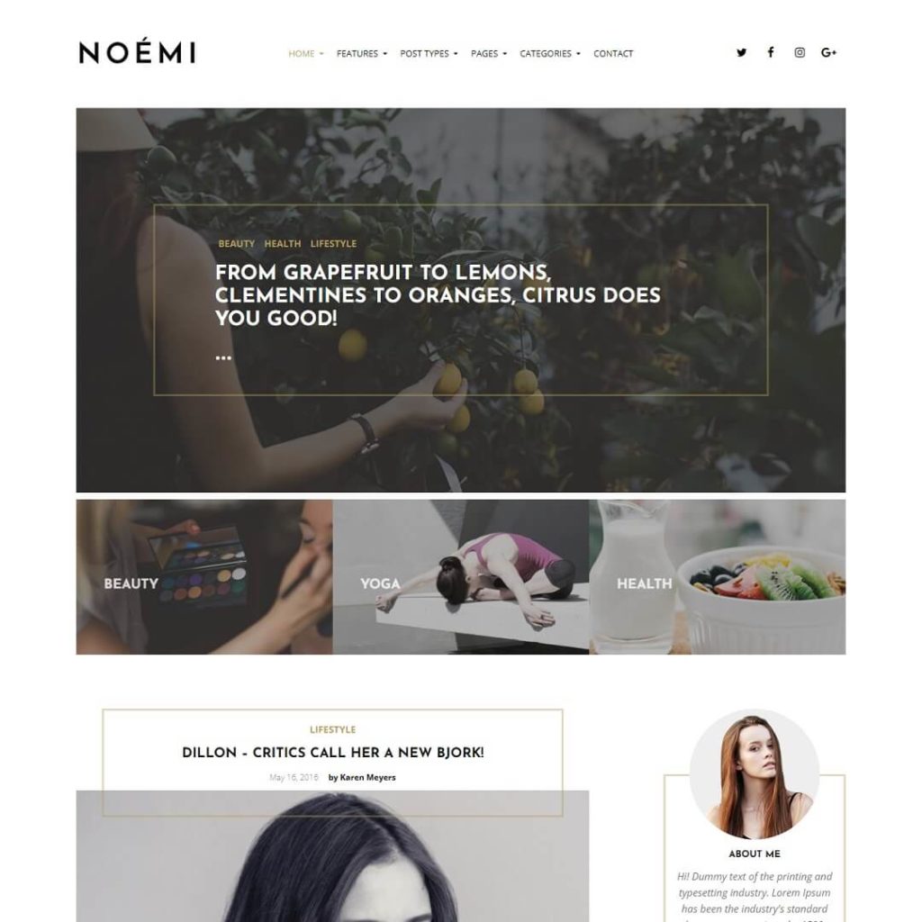 Noemi - WordPress Lifestyle Blog Themes